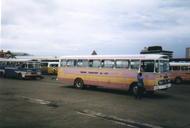 Fiji buses